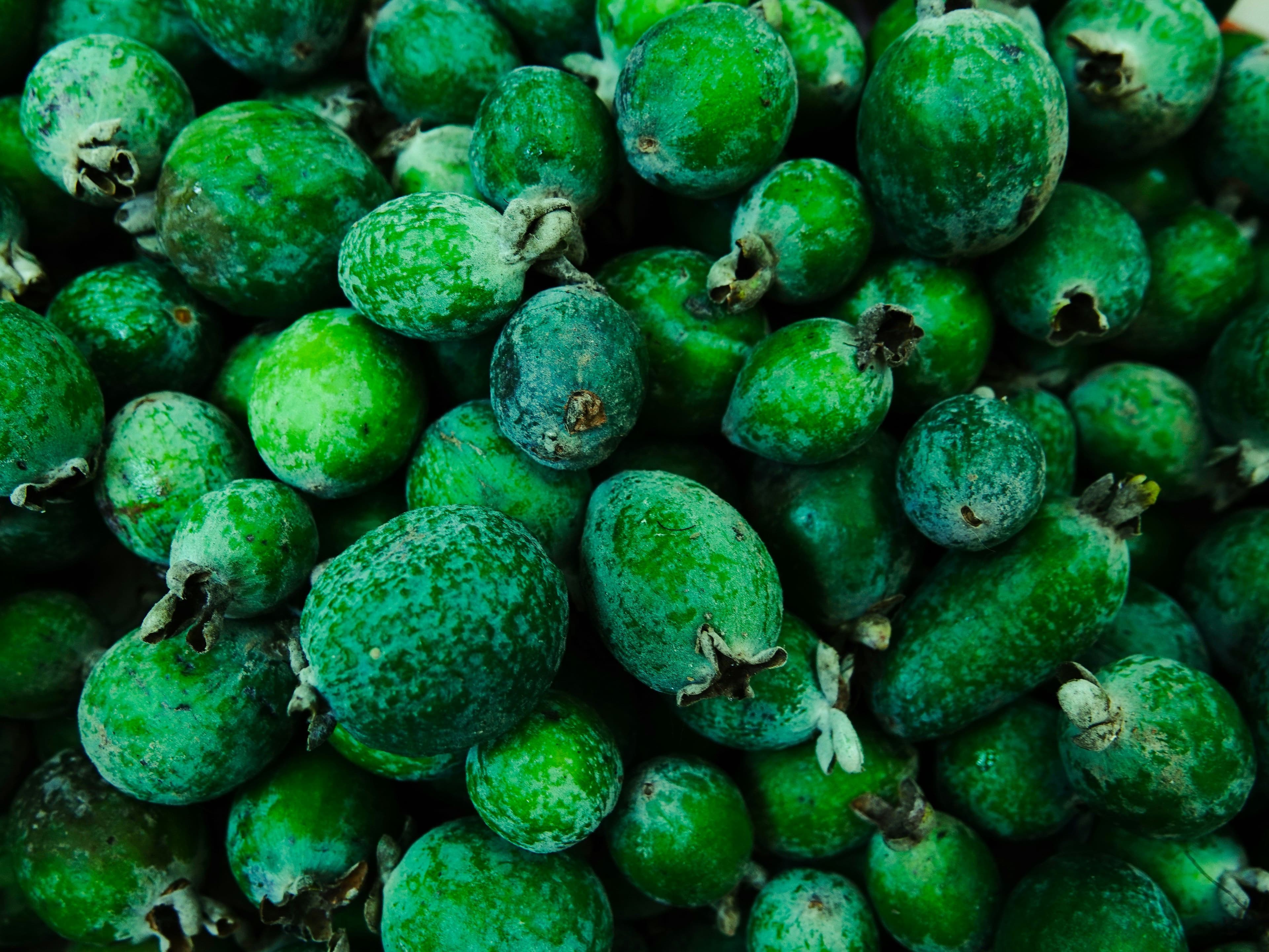 Montón de frutos de Feijoa
